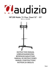 Audizio