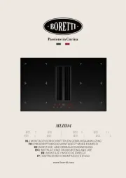 Boretti