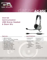Cyber Acoustics