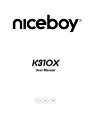 Niceboy