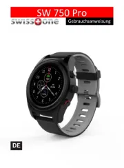 Swisstone