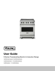 Viking