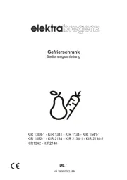 Elektra Bregenz