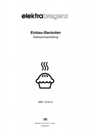 Elektra Bregenz