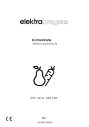 Elektra Bregenz