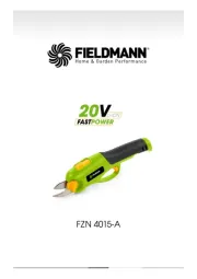 Fieldmann