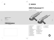 Bosch