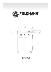 Fieldmann