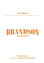 Brandson