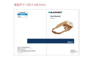 Blaupunkt