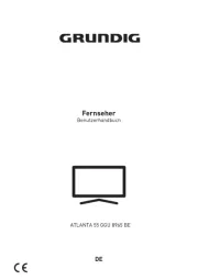 Grundig