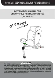 Chipolino