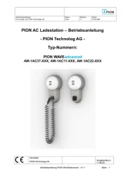 Pion