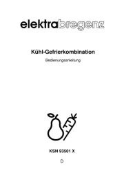 Elektra Bregenz