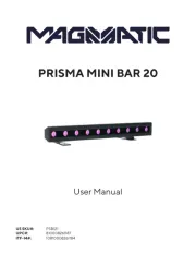 Magmatic