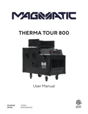 Magmatic
