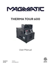 Magmatic