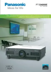 Panasonic