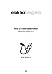 Elektra Bregenz