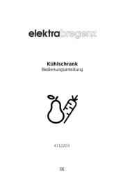 Elektra Bregenz