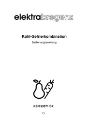 Elektra Bregenz