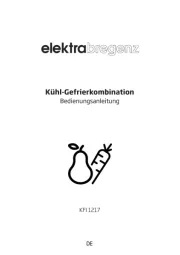Elektra Bregenz
