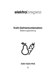 Elektra Bregenz