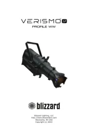Blizzard