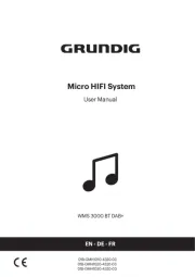 Grundig