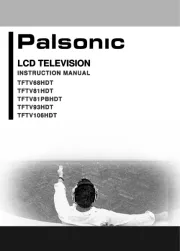 Palsonic