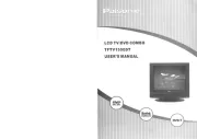 Palsonic