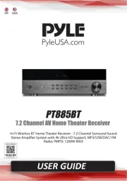 Pyle