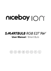 Niceboy