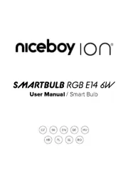 Niceboy