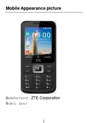 ZTE