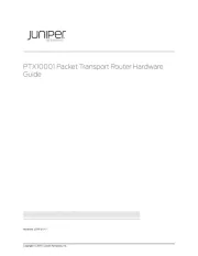 Juniper