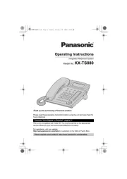 Panasonic