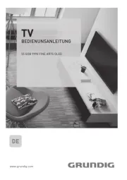 Grundig