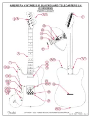 Fender