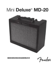 Fender