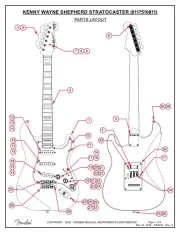 Fender