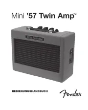 Fender