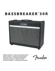 Fender
