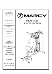 Marcy