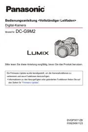 Panasonic