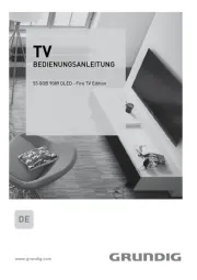 Grundig
