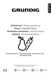 Grundig
