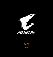 AORUS