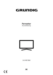 Grundig