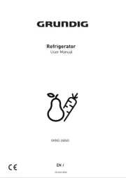 Grundig